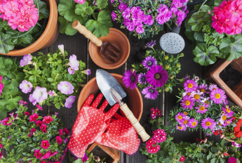 All accessories for your garden